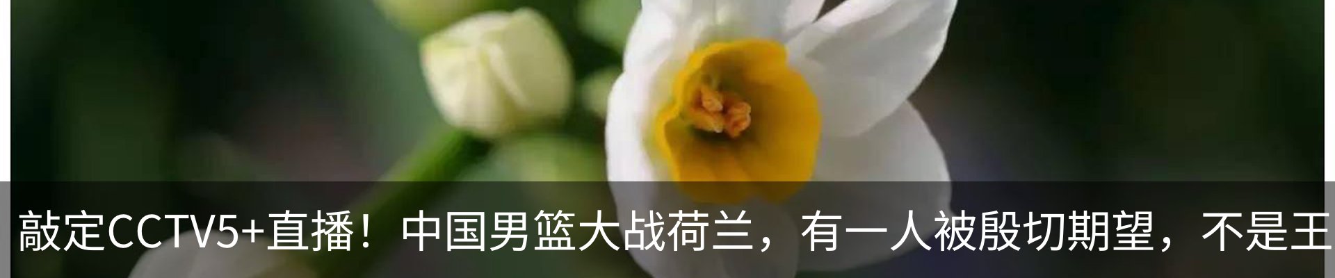 资讯中心