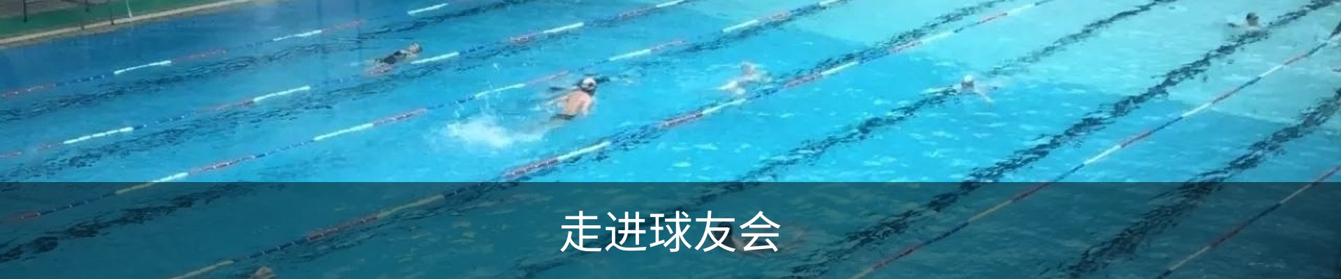 走进球友会